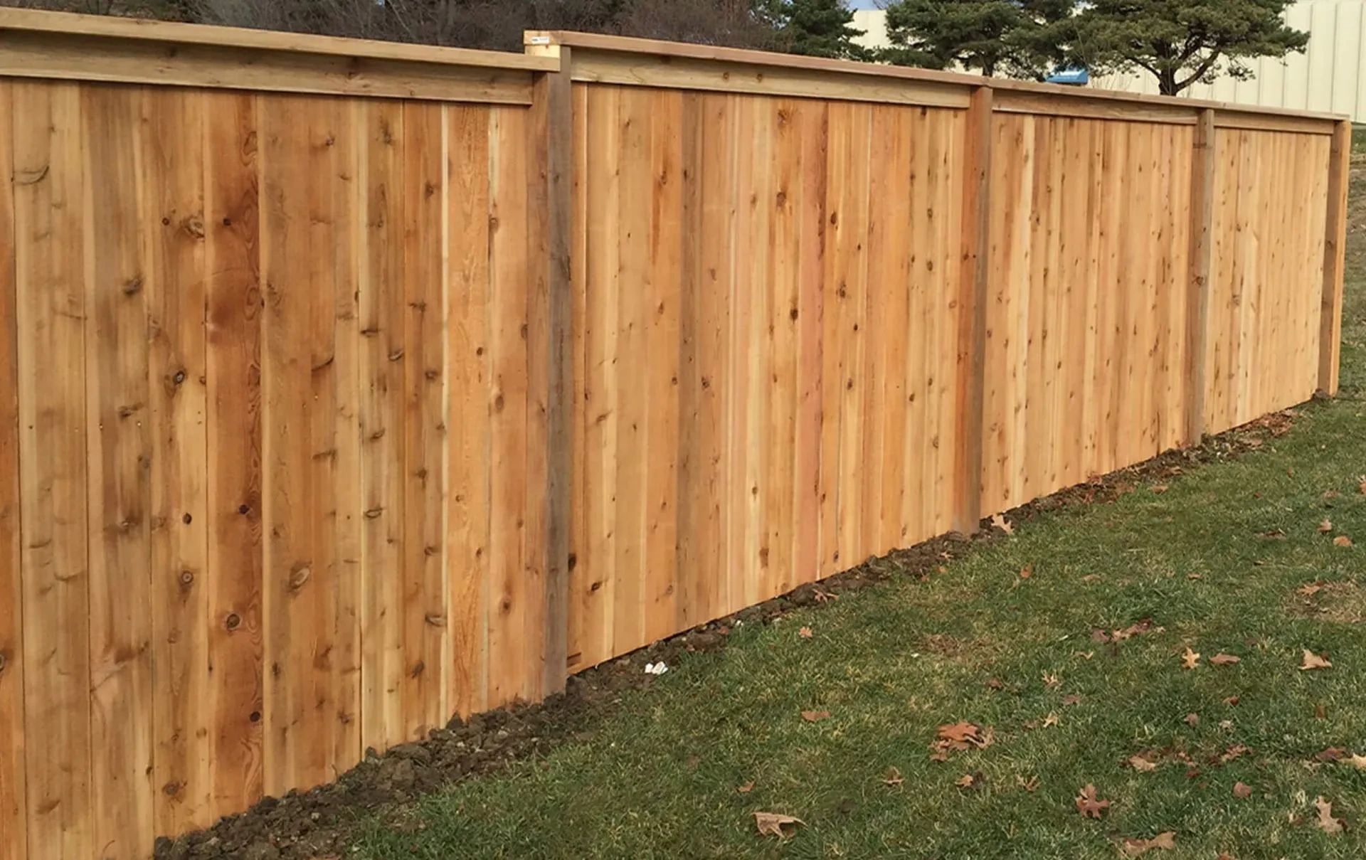 Long cedar privacy fence with cap and trim beside a lawn